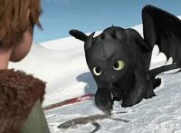 奇幻电影被驯服的龙，乘龙而飞-简评《驯龙高手》