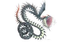 驯龙高手10大巨型龙类，红死神、迷惑巨兽角逐龙王！没牙仔没上榜