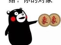 有生之年！没想到这部动画的续作让我找到了不同的感动