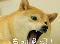 有生之年！没想到这部动画的续作让我找到了不同的感动