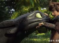 动漫电影《驯龙高手》系列，中国的龙是神明，国外的龙是宠物