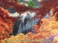 《天气之子》这部动画电影很火，别忘了它的前作更火