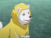 动漫：官方乱入！天气之子短片出现你的名字！新海诚老师你调皮了