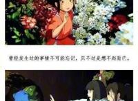 夏日刷片季，你不能错过的宫崎骏动漫世界，超治愈！