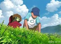 世界公认日本最好看的4部动漫电影，河童之夏上榜，图四最好看！