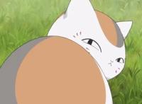 夏目友人帐动漫依然温馨治愈！娘口三三还是暖心的可爱大花猫！