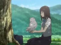 《夏目友人帐》第六季隐藏了一集，森林守护者与小女孩的梦中约定