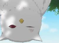 《夏目友人帐》第六季隐藏了一集，森林守护者与小女孩的梦中约定