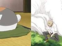 养猫必看的动漫！《夏目友人帐》剧场版即将上映！