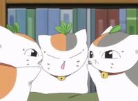 回顾《夏目友人帐》剧场版，还是那么清清淡淡，还是那么简单动人