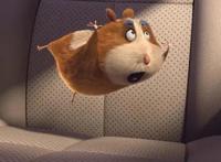 《神奇马戏团之动物饼干》小动物也太可爱了吧！