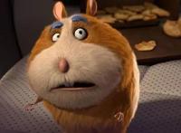 抢票|神奇马戏团，一盒动物饼干引发的奇遇