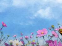 《高分少女》团队又一力作，《死神少爷与黑女仆》羞涩来袭