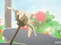 《死神少爷与黑女仆》改编电视动画概念影片曝光