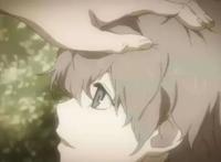 《夏目友人帐》同样的场景，同样的封印，你的好友狸追已上线