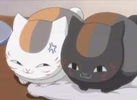 《夏目友人帐》同样的场景，同样的封印，你的好友狸追已上线