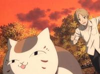 治愈人一生的动漫，来看看你看过几部吧