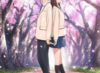 看一次就够了的动漫