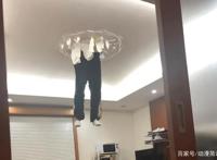 日本网友吐槽：楼上把天花板撞穿了？