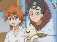 动漫：这几部后宫番可以称得上是二次元的神剧！