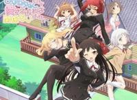 动漫：这些后宫番的套路，总是无心插柳柳成荫！