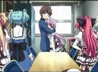 动漫：这些后宫番如果你全都看过，算我输！