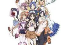 动漫：如果你是这些后宫番男主，你选谁当正宫？