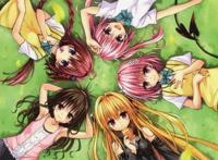 这几部后宫番你居然没看过？那你真需要补番了！