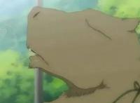 夏目友人帐的美女妖怪，每位都有凄美动人的过往