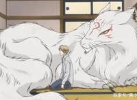 夏目友人帐：百年后，没了夏目贵志，猫咪老师该何去何从