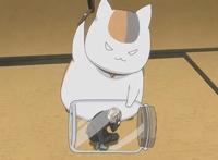 《夏目友人帐》高能不断的一集，著名表情包出处，猫咪老师非常攻