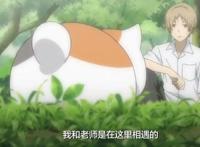 期待，《夏目友人帐》剧场版上映，你会去看吗？