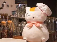 夏目友人帐新情报于9.18公开，夏目&猫咪老师声优届时现场官宣！