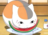 《夏目友人帐》传记，娘口三三猫老师，傲娇斑大人的日常你了解吗