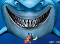 国外票房最高的十部动画电影（上）