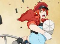 B站已拿下12部一月新番，强势的续作有很多，让人期待