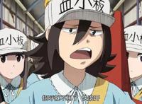 B站已拿下12部一月新番，强势的续作有很多，让人期待