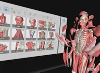 风口上的虚拟人：历史、商业潜力和困境
