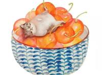 风趣幽默的说说，妙趣横生，笑出腹肌！