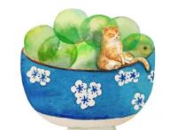 风趣幽默的说说，妙趣横生，笑出腹肌！