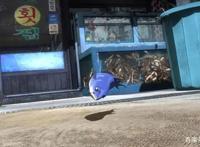 韩国恐怖动画电影《啪嗒啪嗒》，看一条鱼如何用生命追求自由