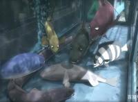 韩国恐怖动画电影《啪嗒啪嗒》，看一条鱼如何用生命追求自由