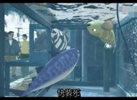 《啪嗒啪嗒》：生死的抉择受困于人性，遵循的也只是最原始的本能