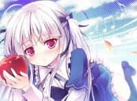 遗憾！这些好看的后宫动漫都没逃过被B站下架的命运