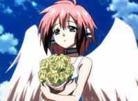 四个“热血”动漫，但是你只能晚上偷偷看！