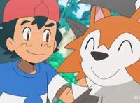 宝可梦：宝可梦动画如此受欢迎，靠的究竟是小智还是各种宝可梦？