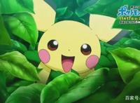 《精灵宝可梦》新动画首集预告，皮卡丘的童年缺爱，全靠袋兽养大