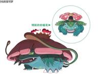 精灵宝可梦：不仅喷火龙可以超极巨化，妙蛙花和水箭龟也可以了