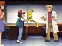 精灵宝可梦：世界变化太快，连小智都夺冠了，而你仍然是个普通人