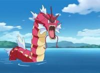 《精灵宝可梦》第一世代废弃原案曝光暴龙鲤好暴躁